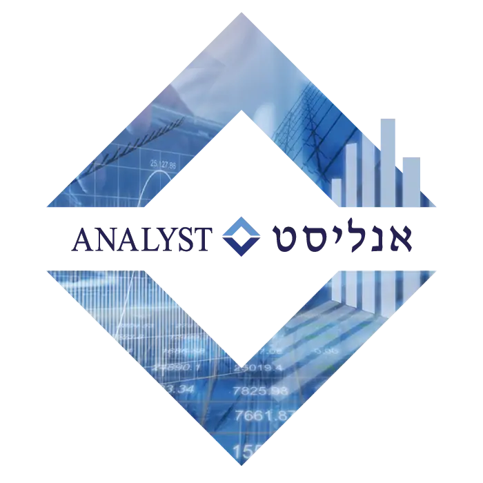 אנליסט שניר פיננסים